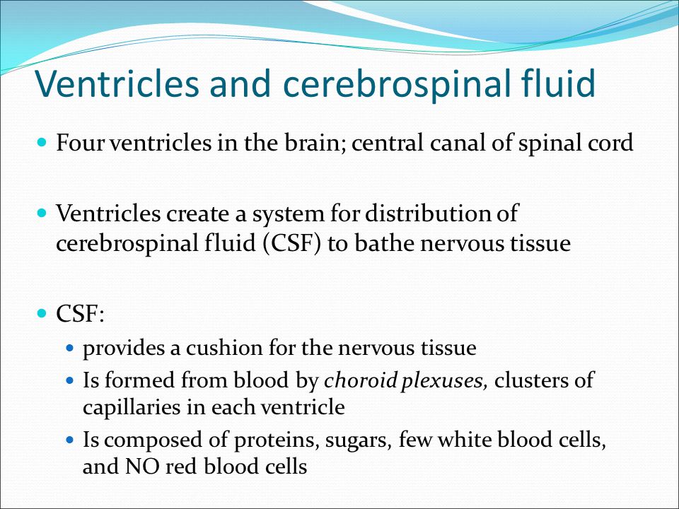 Ventricles and cerebrospinal fluid