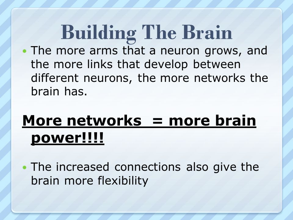 Building The Brain More networks = more brain power!!!!