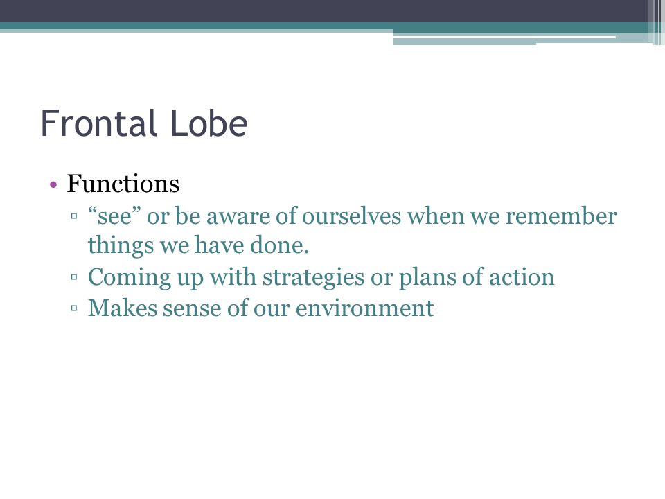 Frontal Lobe Functions