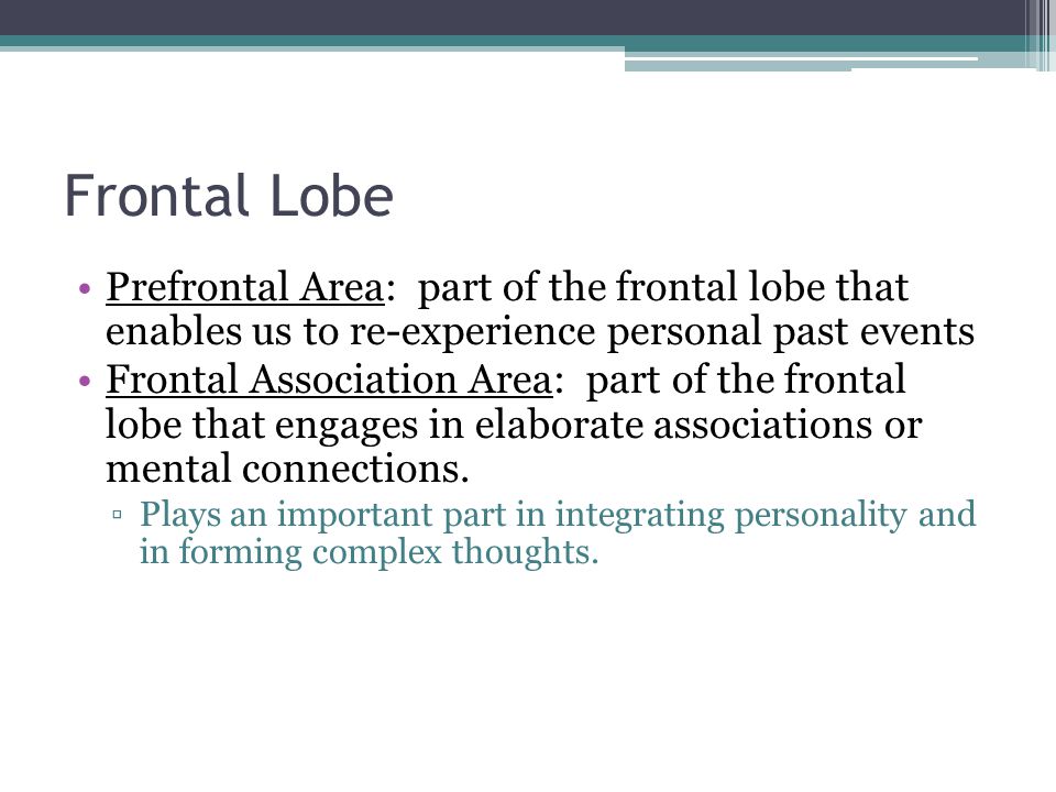 Frontal Lobe Prefrontal Area: part of the frontal lobe that enables us to re-experience personal past events.