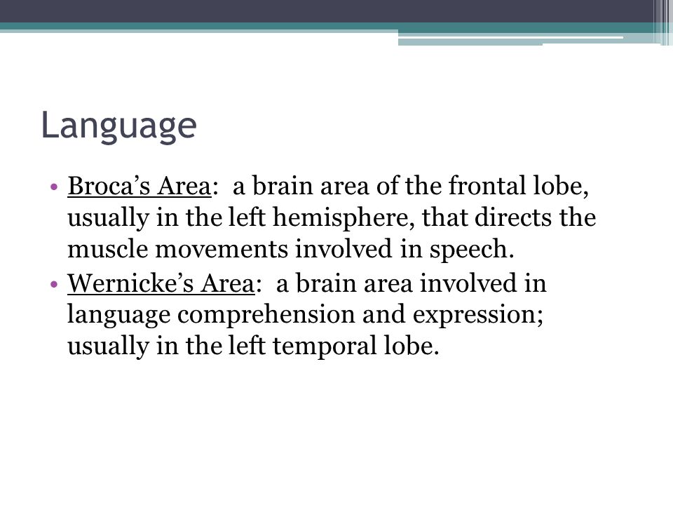 Language Broca’s Area: a brain area of the frontal lobe, usually in the left hemisphere, that directs the muscle movements involved in speech.