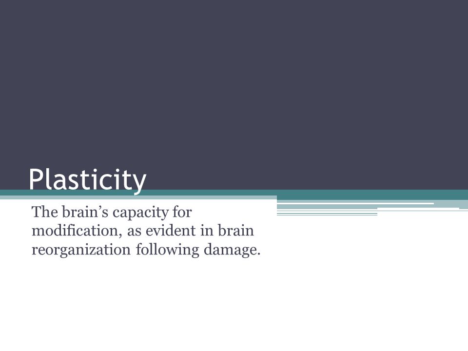 Plasticity The brain’s capacity for modification, as evident in brain reorganization following damage.