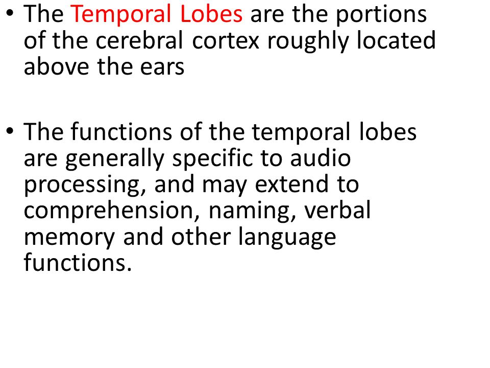 The Temporal Lobes are the portions of the cerebral cortex roughly located above the ears