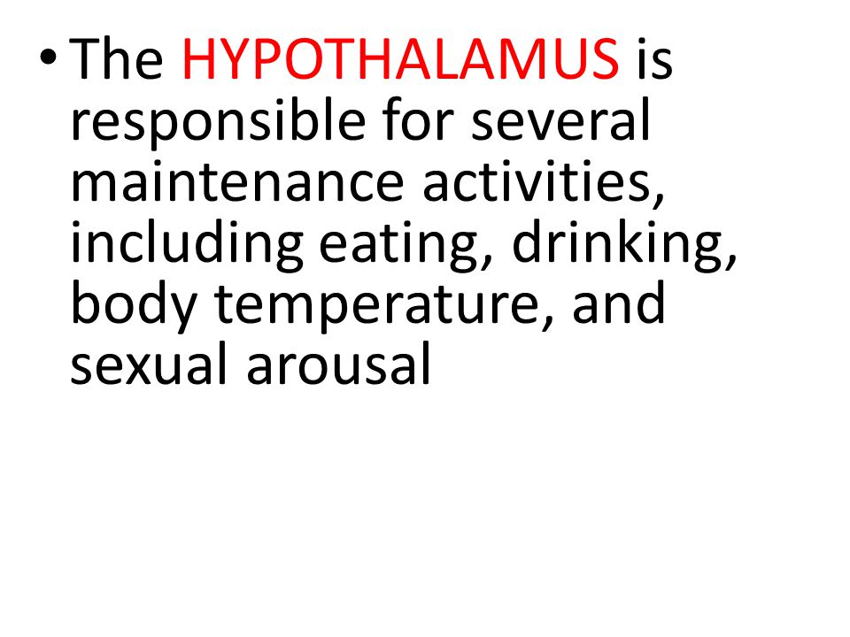 The HYPOTHALAMUS is responsible for several maintenance activities, including eating, drinking, body temperature, and sexual arousal