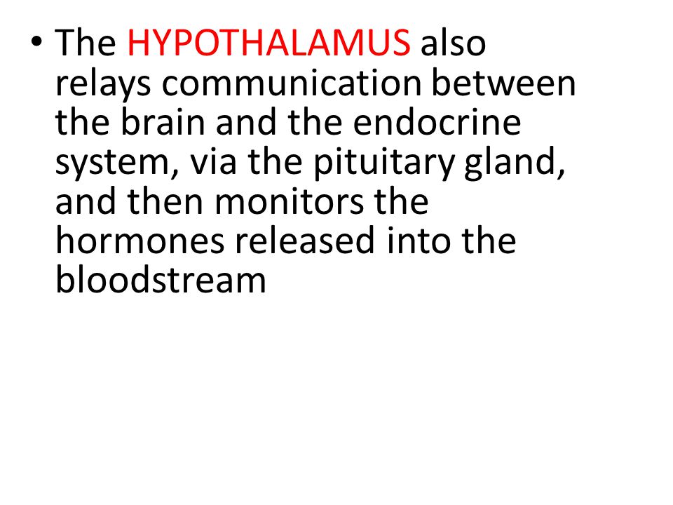 The HYPOTHALAMUS also relays communication between the brain and the endocrine system, via the pituitary gland, and then monitors the hormones released into the bloodstream
