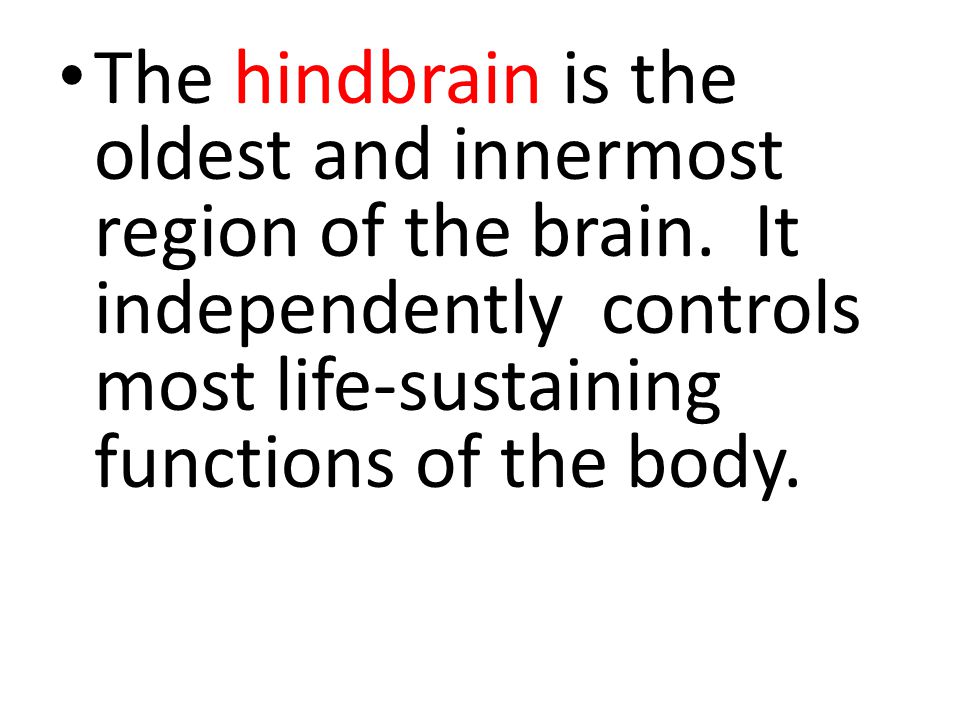 The hindbrain is the oldest and innermost region of the brain