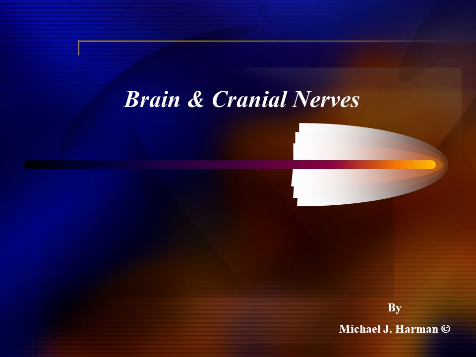 Brain & Cranial Nerves By Michael J. Harman 
