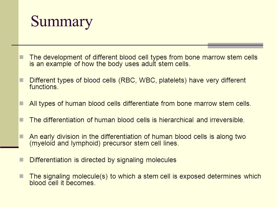 Summary The development of different blood cell types from bone marrow stem cells is an example of how the body uses adult stem cells.