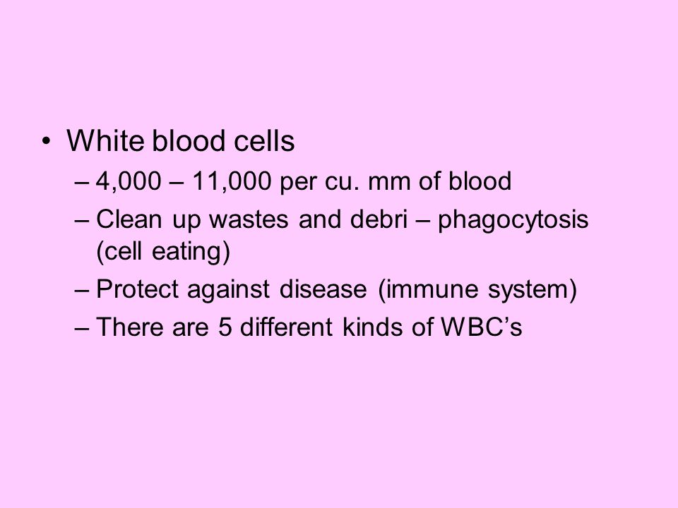 White blood cells 4,000 – 11,000 per cu. mm of blood