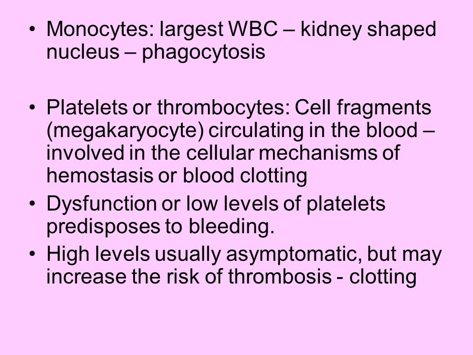 Monocytes: largest WBC – kidney shaped nucleus – phagocytosis