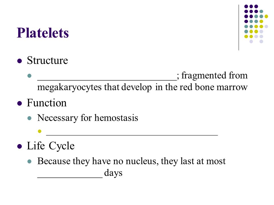 Platelets Structure Function Life Cycle