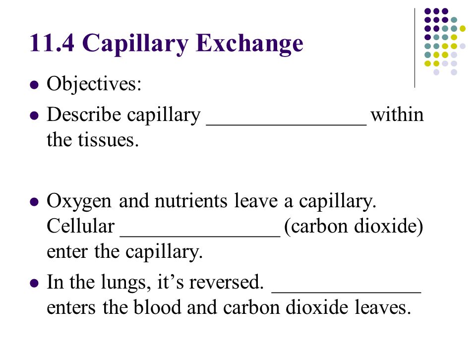 11.4 Capillary Exchange Objectives: