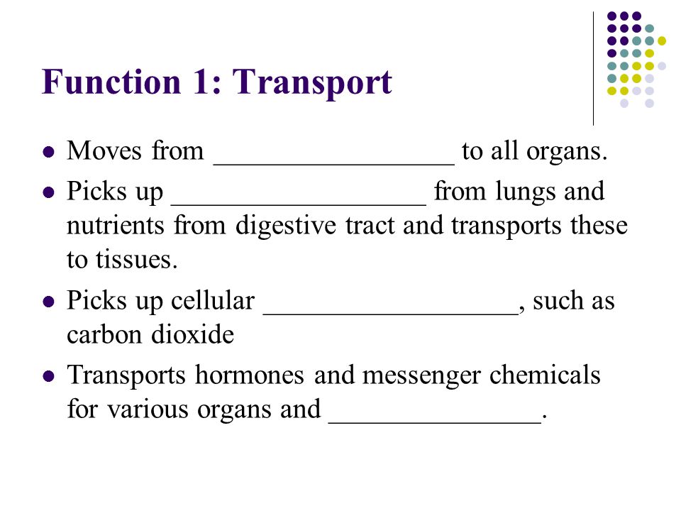 Function 1: Transport Moves from _________________ to all organs.