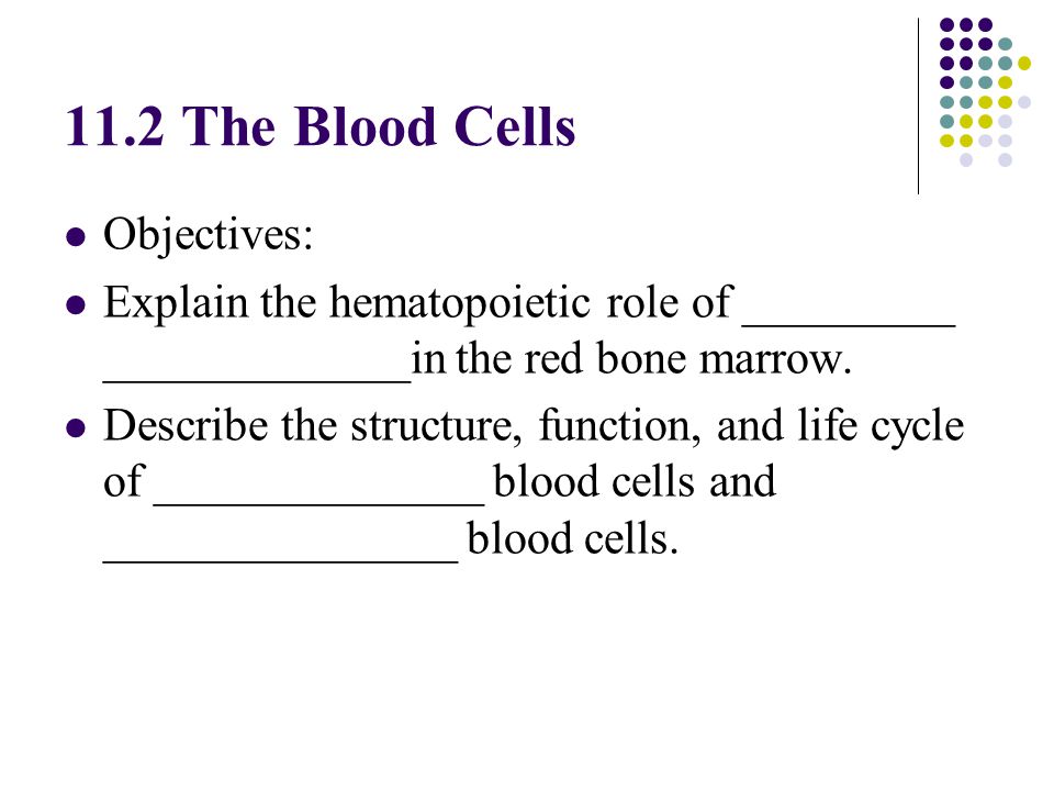 11.2 The Blood Cells Objectives: