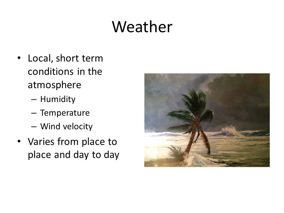 Weather Local, short term conditions in the atmosphere