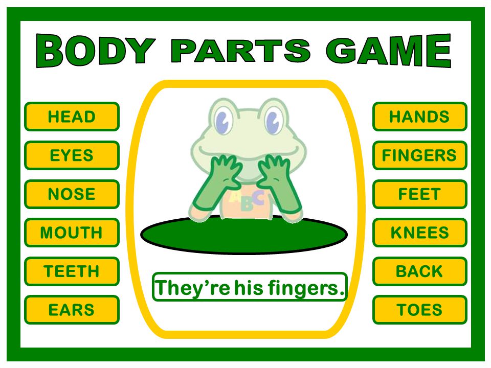 BODY PARTS GAME They’re his fingers. HEAD HANDS EYES FINGERS NOSE FEET