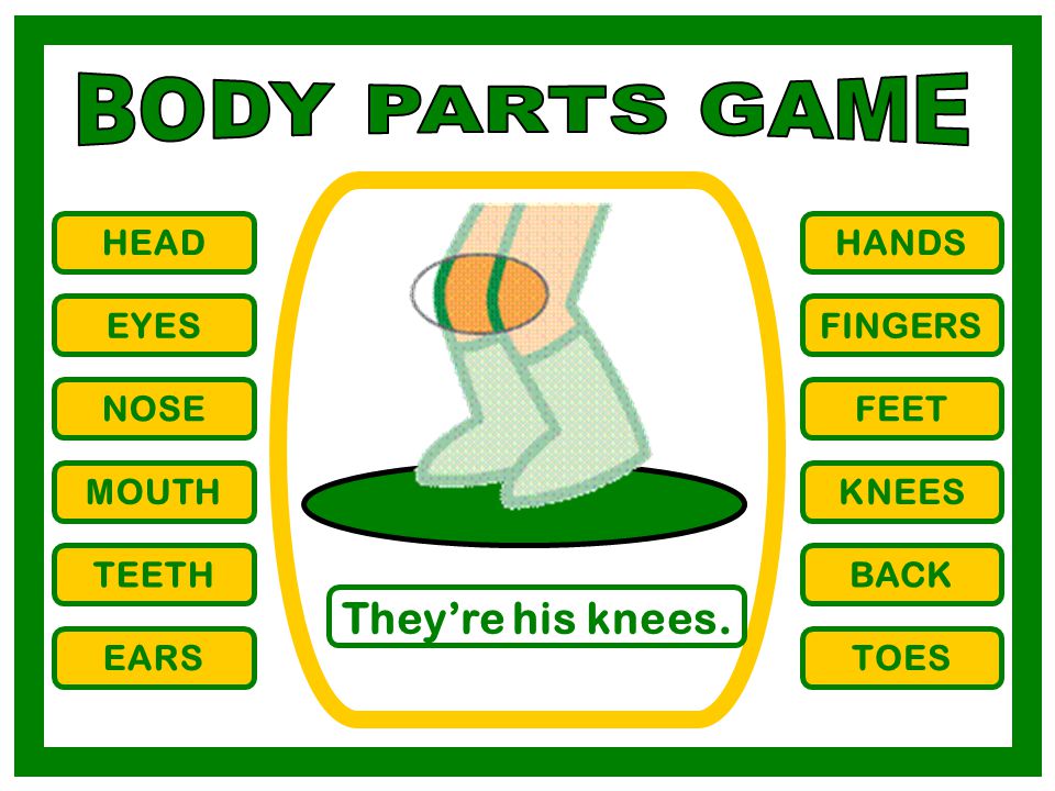 BODY PARTS GAME They’re his knees. HEAD HANDS EYES FINGERS NOSE FEET