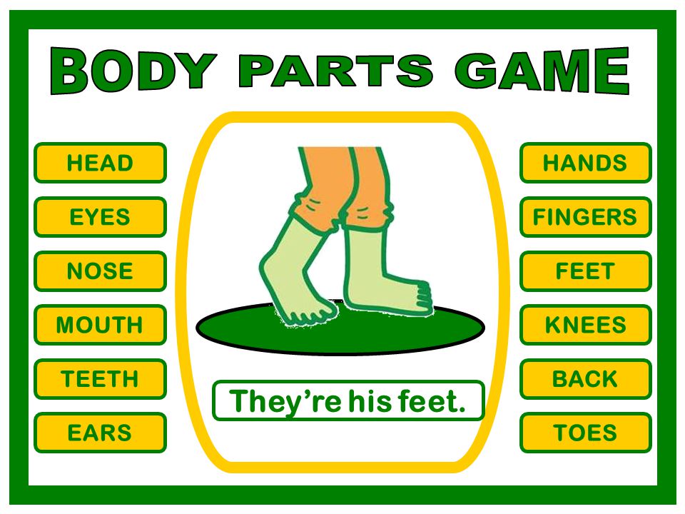 BODY PARTS GAME They’re his feet. HEAD HANDS EYES FINGERS NOSE FEET