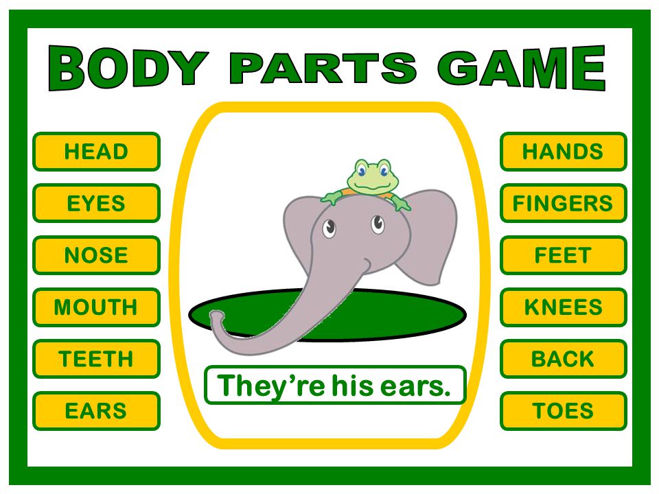 BODY PARTS GAME They’re his ears. HEAD HANDS EYES FINGERS NOSE FEET