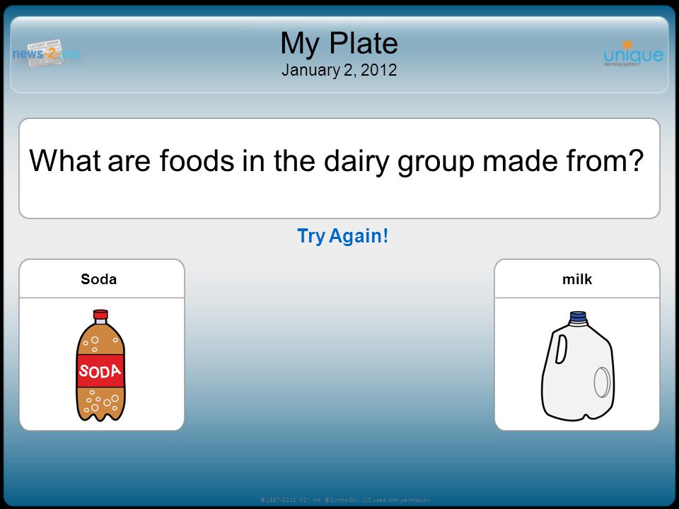 What are foods in the dairy group made from