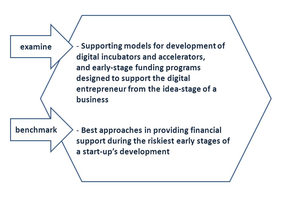 Supporting models for development of digital incubators and accelerators,