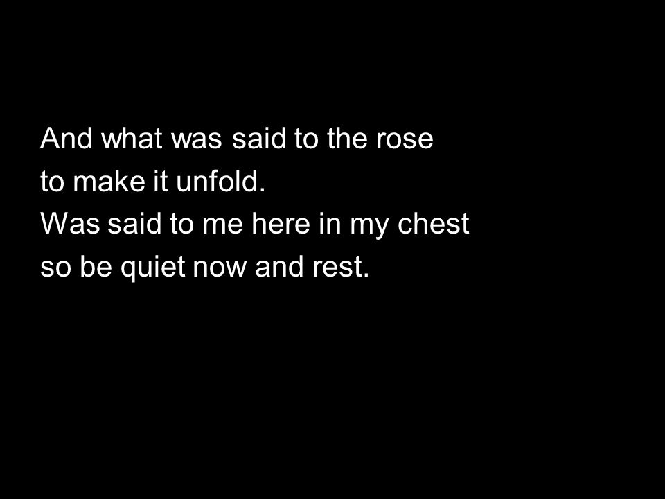 And what was said to the rose