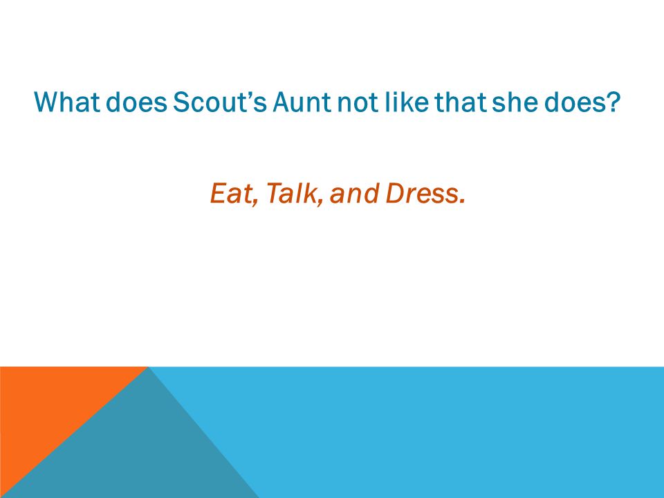 What does Scout’s Aunt not like that she does