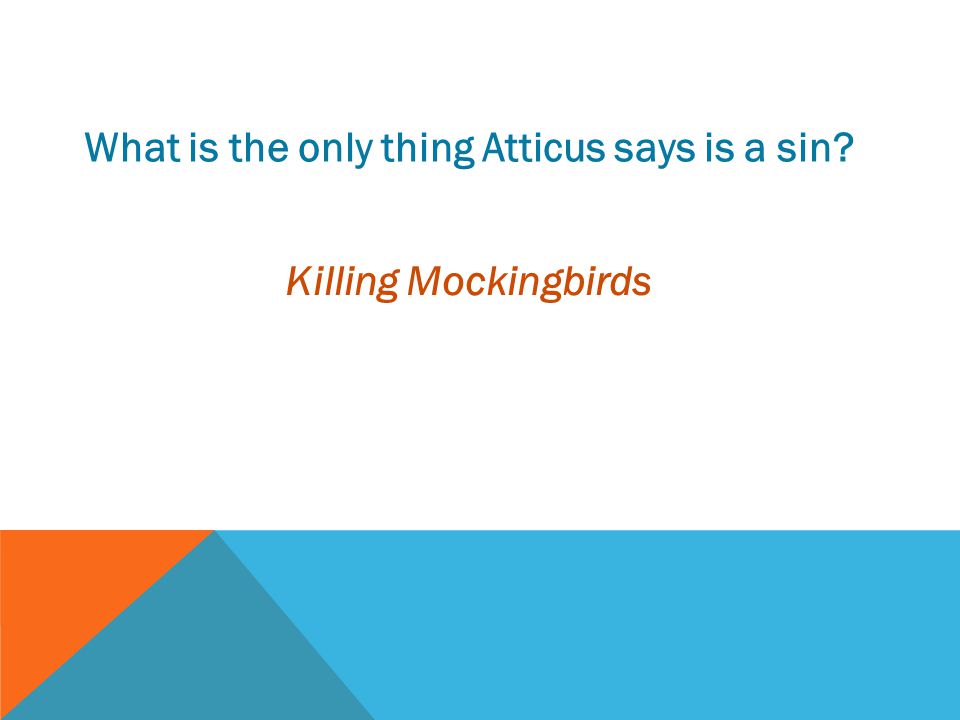 What is the only thing Atticus says is a sin