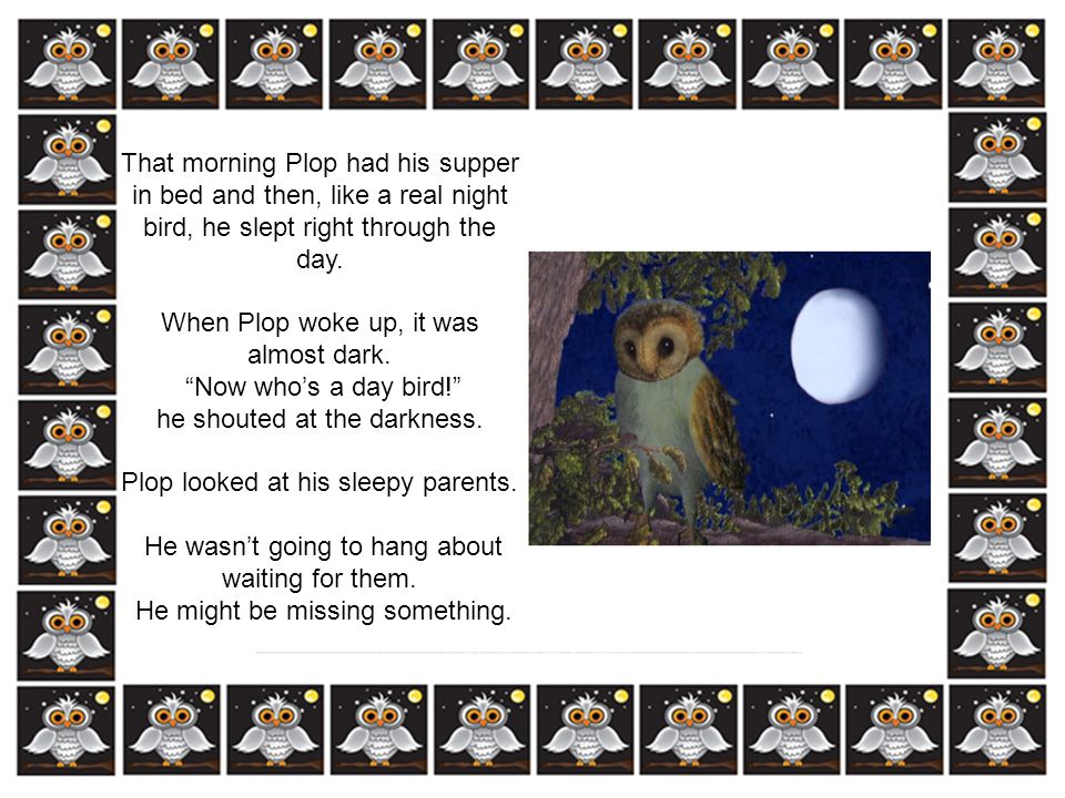 When Plop woke up, it was almost dark. Now who’s a day bird!