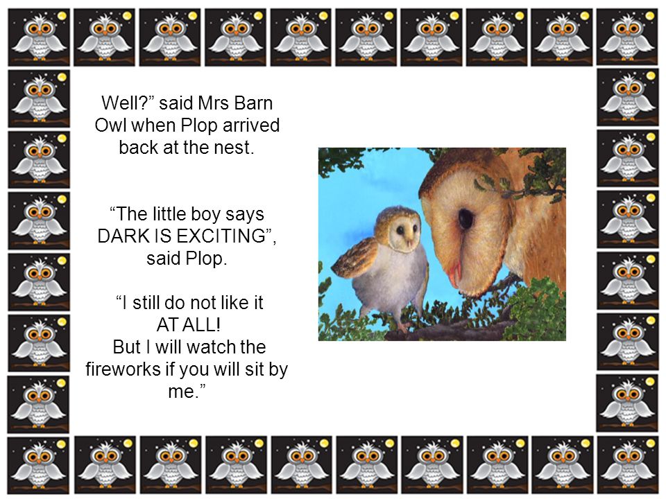 Well said Mrs Barn Owl when Plop arrived back at the nest.