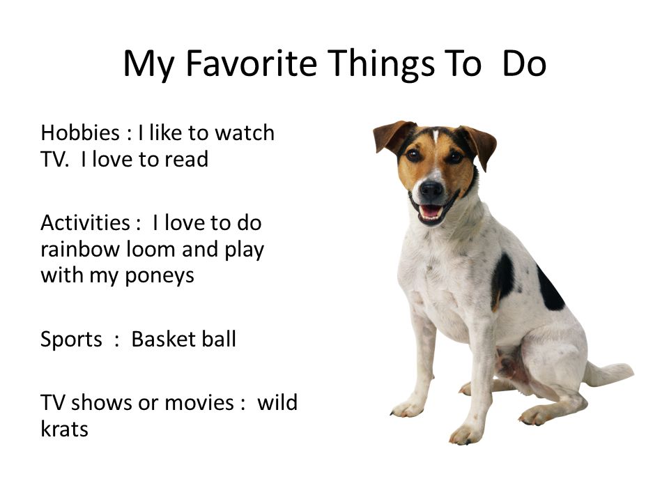 My Favorite Things To Do