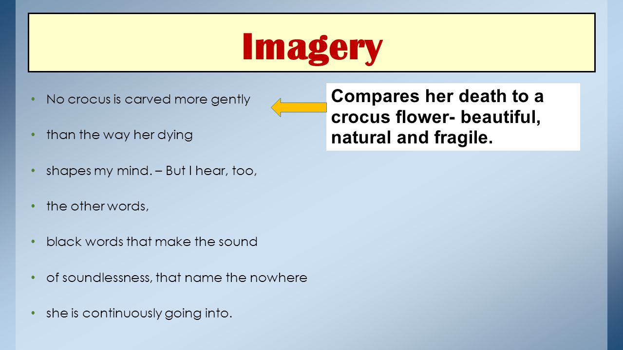 Imagery No crocus is carved more gently. than the way her dying. shapes my mind. – But I hear, too,