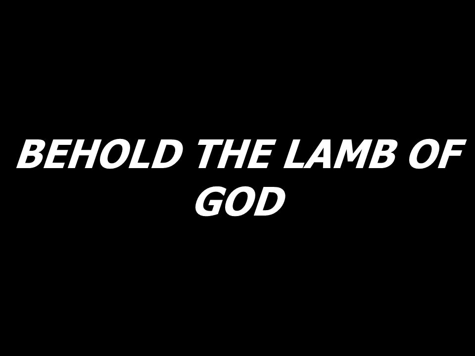 BEHOLD THE LAMB OF GOD