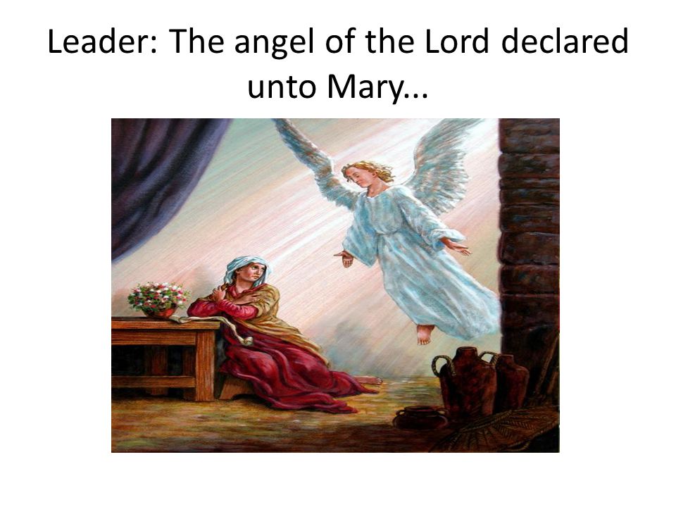 Leader: The angel of the Lord declared unto Mary...
