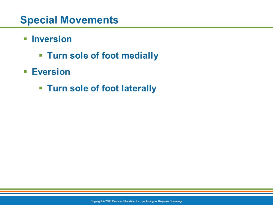 Special Movements Inversion Turn sole of foot medially Eversion