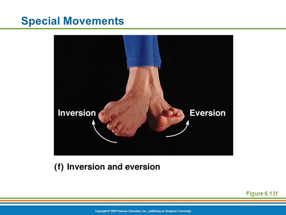 Special Movements Figure 6.13f