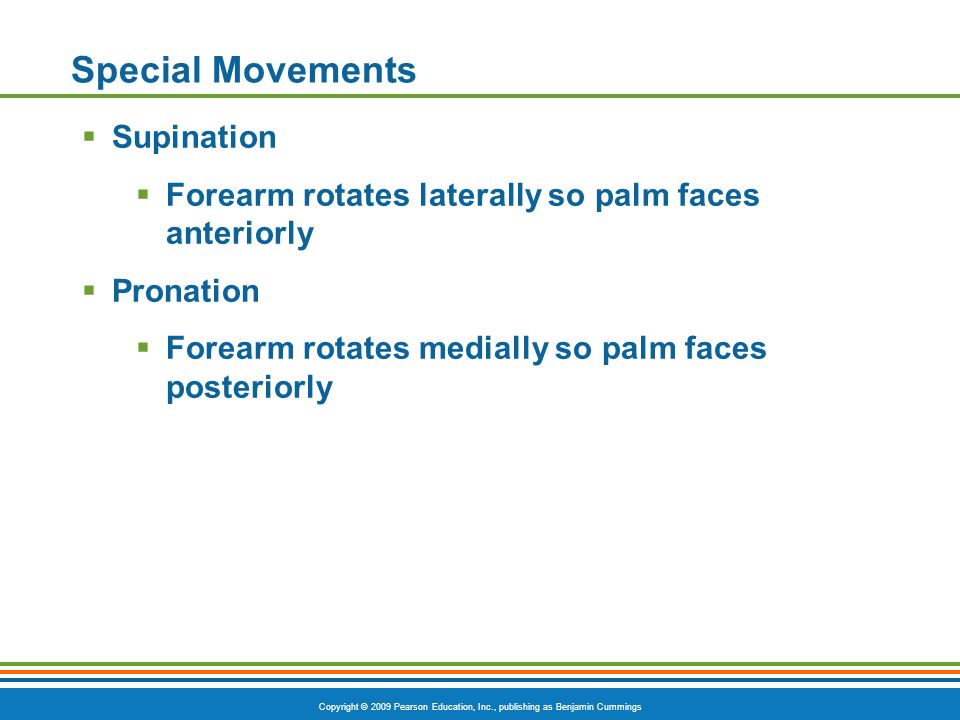 Special Movements Supination