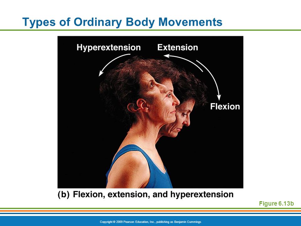 Types of Ordinary Body Movements