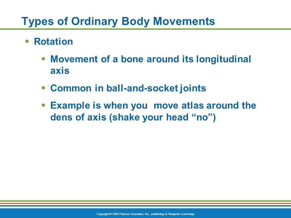 Types of Ordinary Body Movements