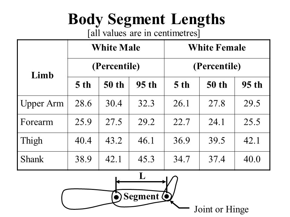 Body Segment Lengths [all values are in centimetres] Limb White Male