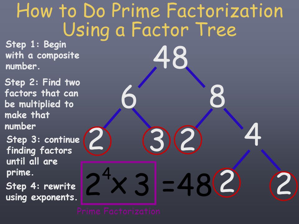 How to Do Prime Factorization Using a Factor Tree