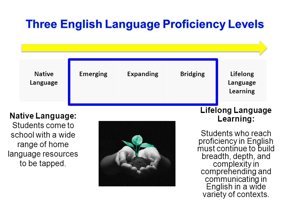 Three English Language Proficiency Levels