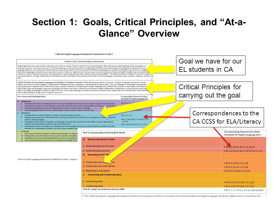Section 1: Goals, Critical Principles, and At-a-Glance Overview