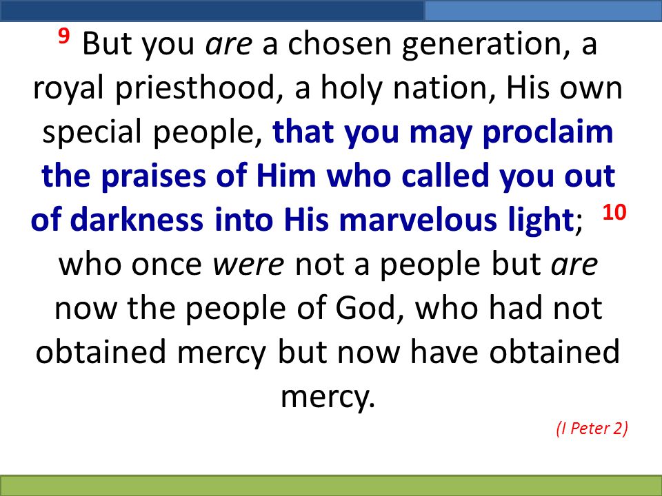 9 But you are a chosen generation, a royal priesthood, a holy nation, His own special people, that you may proclaim the praises of Him who called you out of darkness into His marvelous light; 10 who once were not a people but are now the people of God, who had not obtained mercy but now have obtained mercy.