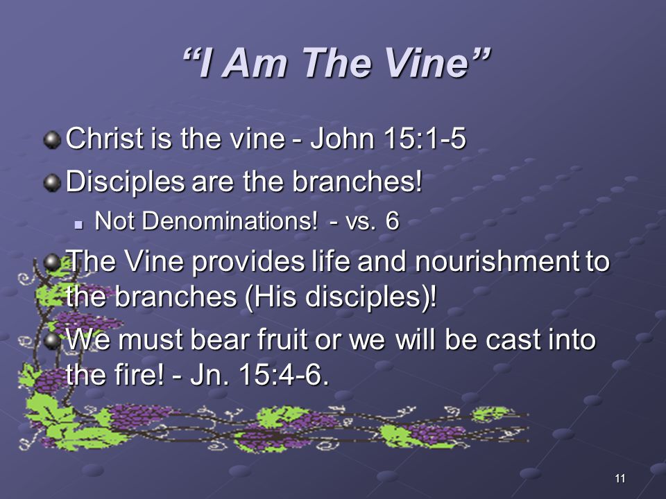 I Am The Vine Christ is the vine - John 15:1-5