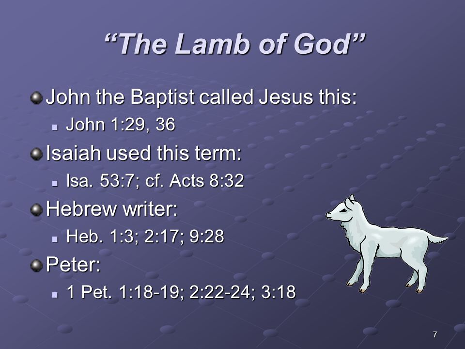 The Lamb of God John the Baptist called Jesus this: