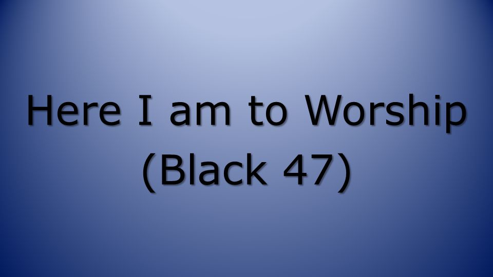 Here I am to Worship (Black 47)