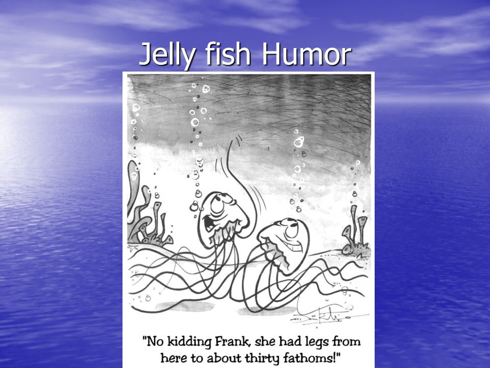 Jelly fish Humor