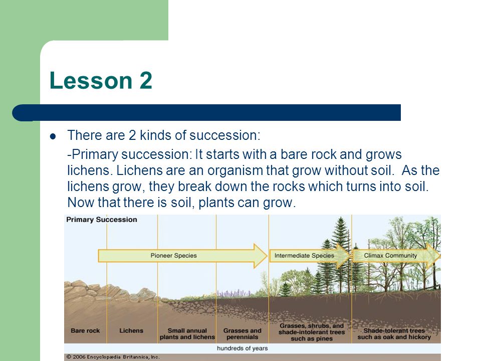 Lesson 2 There are 2 kinds of succession: