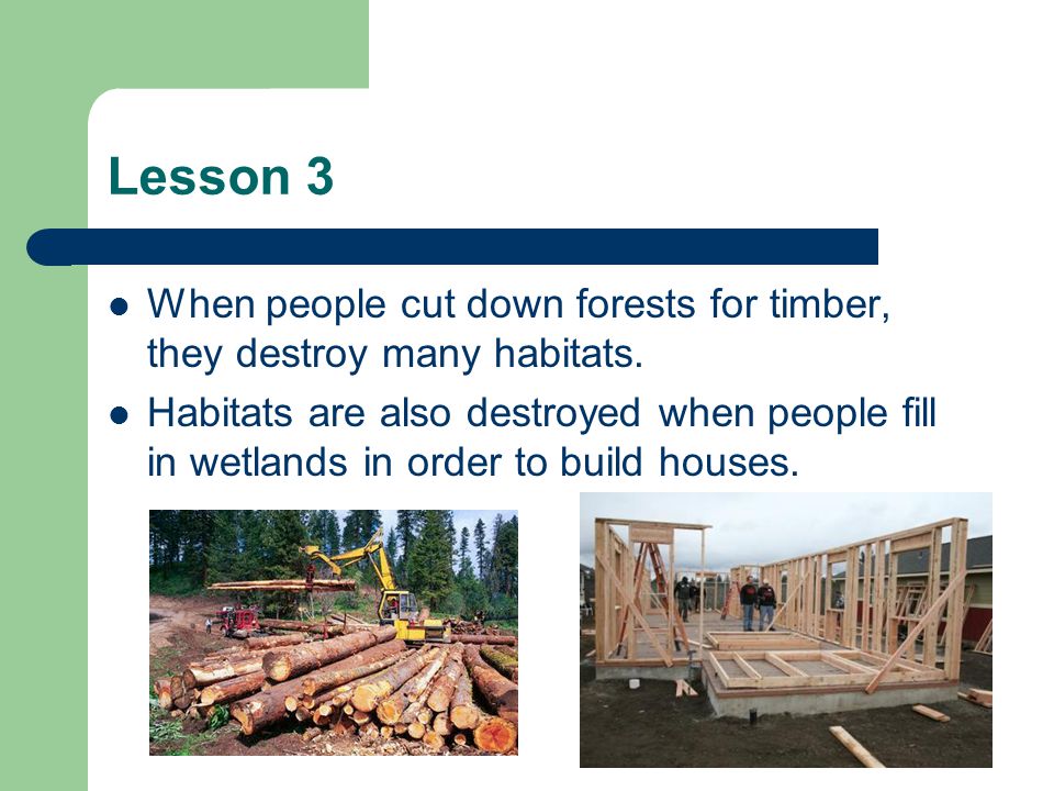 Lesson 3 When people cut down forests for timber, they destroy many habitats.